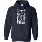 are you kitten me right meow hoodie - navy blue